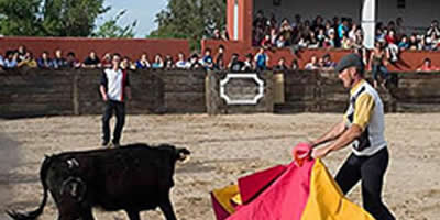 capea san juan soria